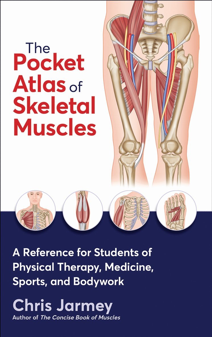 Chris Jarmey - Pocket Atlas of Skeletal Muscles, Häftad