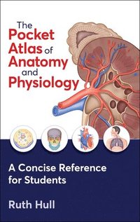 bokomslag The Pocket Atlas of Anatomy and Physiology