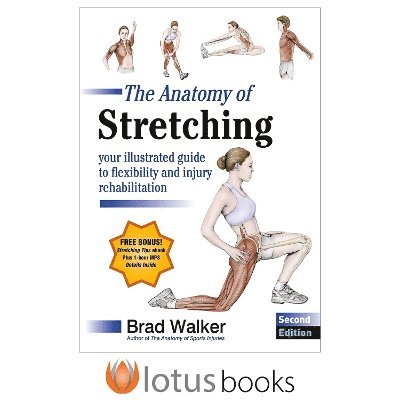 The Anatomy of Stretching 1