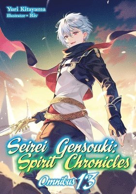 Seirei Gensouki: Spirit Chronicles: Omnibus 13 (Light Novel)
