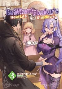 bokomslag The Brilliant Healer's New Life in the Shadows: Volume 3 (Light Novel)
