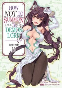 bokomslag How NOT to Summon a Demon Lord: Volume 11 (Light Novel)