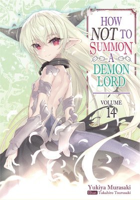 bokomslag How NOT to Summon a Demon Lord: Volume 14 (Light Novel)