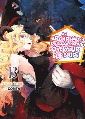 COMTA, Fuminori Teshima, Hikoki Hikoki - Archdemon's Dilemma: How to Love Your Elf Bride: Volume 13 (Light Novel), Häftad