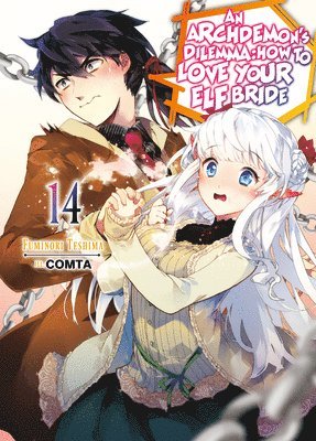 bokomslag Archdemon's Dilemma: How to Love Your Elf Bride: Volume 14 (Light Novel)