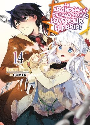Archdemon's Dilemma: How to Love Your Elf Bride: Volume 14 (Light Novel)
