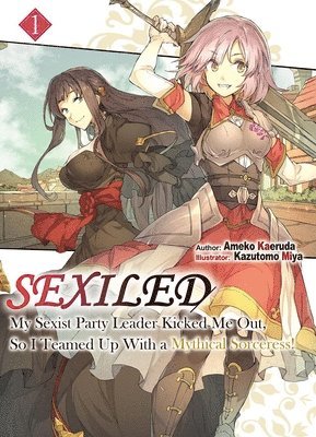 Ameko Kaeruda, Kazutomo Miya, Molly Lee - Sexiled: My Sexist Party Leader Kicked Me Out, So I Teamed Up With a Mythical Sorceress! Vol. 1 (Light Novel), Häftad
