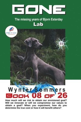 Sommers - GONE Book 08, Häftad