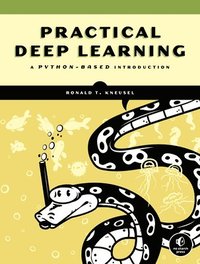 bokomslag Practical Deep Learning