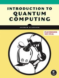 bokomslag Introduction to Quantum Computing