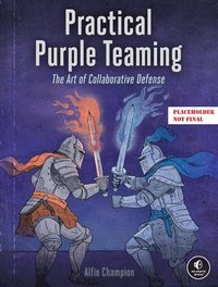 bokomslag Practical Purple Teaming