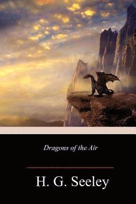 Dragons of the Air 1