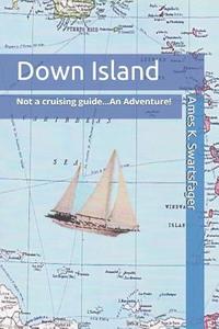 bokomslag Down Island