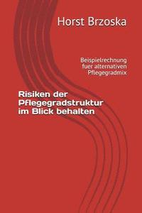 bokomslag Risiken Der Pflegegradstruktur Im Blick Behalten: Beispielrechnung Fuer Alternativen Pflegegradmix