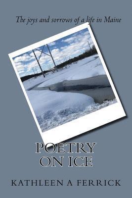 bokomslag Poetry on Ice: My years in Maine