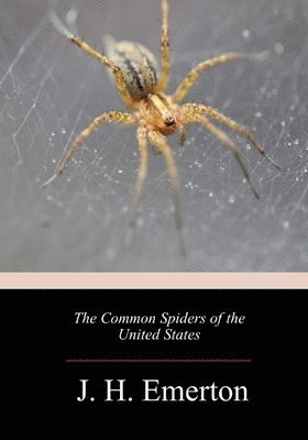 bokomslag The Common Spiders of the United States