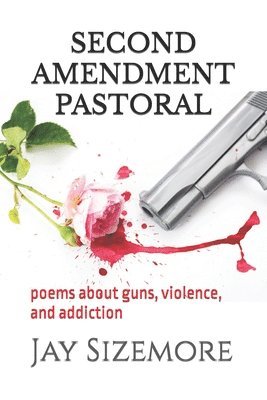 bokomslag Second Amendment Pastoral