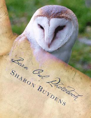 Barn Owl Photobook: Royalty Free Color Pix of the Common Barn Owl, Family Tytonidae (Tyto Alba) Plus Talons & Owl Drawings 1