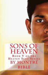 bokomslag Sons of Heaven