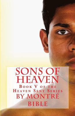 Sons of Heaven 1