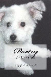 bokomslag Poetry: Collection