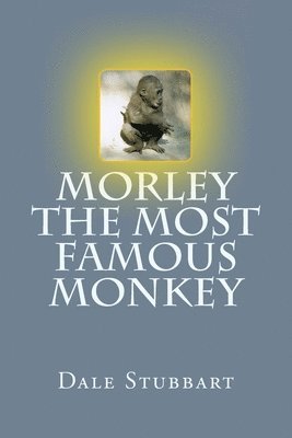 Dale Stubbart - Morley The Most Famous Monkey, Häftad