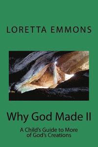 bokomslag Why God Made II: A Child's Guide to More of God's Creations