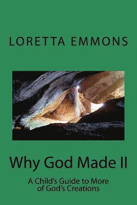 Why God Made II: A Child's Guide to More of God's Creations 1