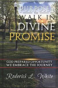 bokomslag Purposed To Walk In Divine Promise (Full Color): God Prepared Oppurtunity We Embrace The Journey