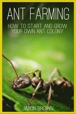 bokomslag Ant Farming: How to Start and Grow Your Own Ant Colony