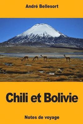 Chili et Bolivie 1