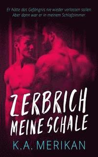 bokomslag Zerbrich Meine Schale (gay romance)