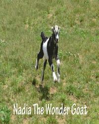 bokomslag Nadia the wonder goat