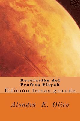 bokomslag Revelacion del Profeta Eliyah: Desenganando creyentes en la Verdad, que es Yahshua.