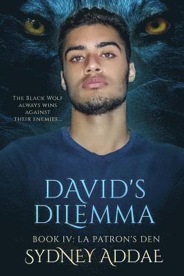 Sydney Addae - David's Dilemma, Häftad