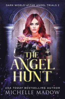 bokomslag The Angel Hunt