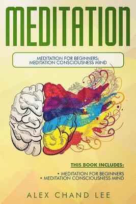 Meditation: Meditation for Beginners; Meditation Consciousness Mind 1