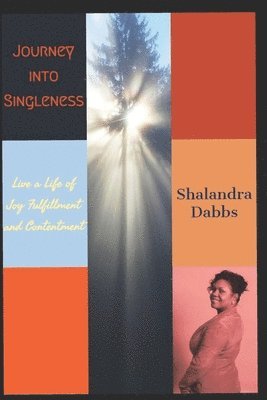 bokomslag Journey into Singleness