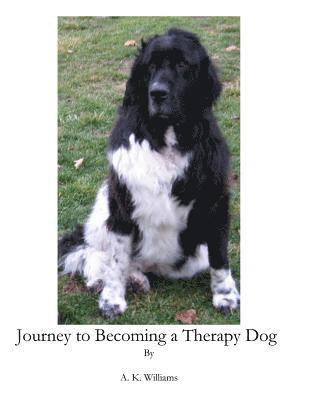 Journey To Becoming a Therapy Dog 1