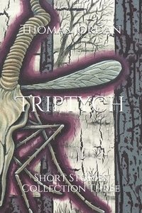 bokomslag Triptych: Short Stories Collection Three