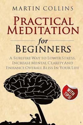 bokomslag Practical Meditation for Beginners: A Surefire Way to Lower Stress, Increase Mental Clarity And Enhance Overall Bliss In Your Life