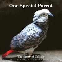 bokomslag One Special Parrot: The Story of Calixte