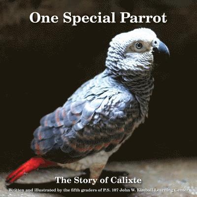 One Special Parrot: The Story of Calixte 1