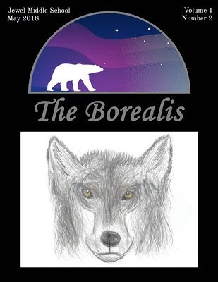 bokomslag Borealis