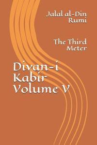 bokomslag Divan-i Kabir, Volume V: The Third Meter