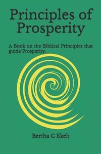 bokomslag Principles of Prosperity: A book on the Biblical principles that guide prosperity