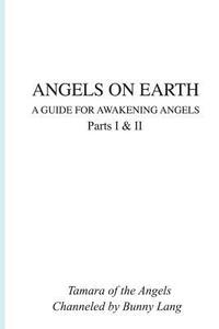 bokomslag Angels on Earth: A Guide for Awakening Angels
