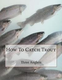 bokomslag How To Catch Trout