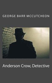 bokomslag Anderson Crow, Detective
