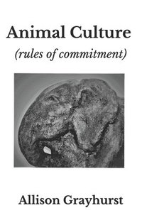 bokomslag Animal Culture (rules of commitment)